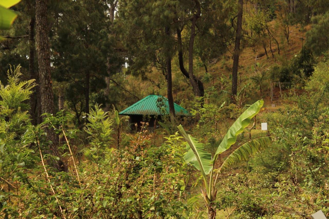 Heal Farm - Himalayan Eco Alternative Lifestyle For Agriculture Recreation And Meditation Нейнитал Екстериор снимка