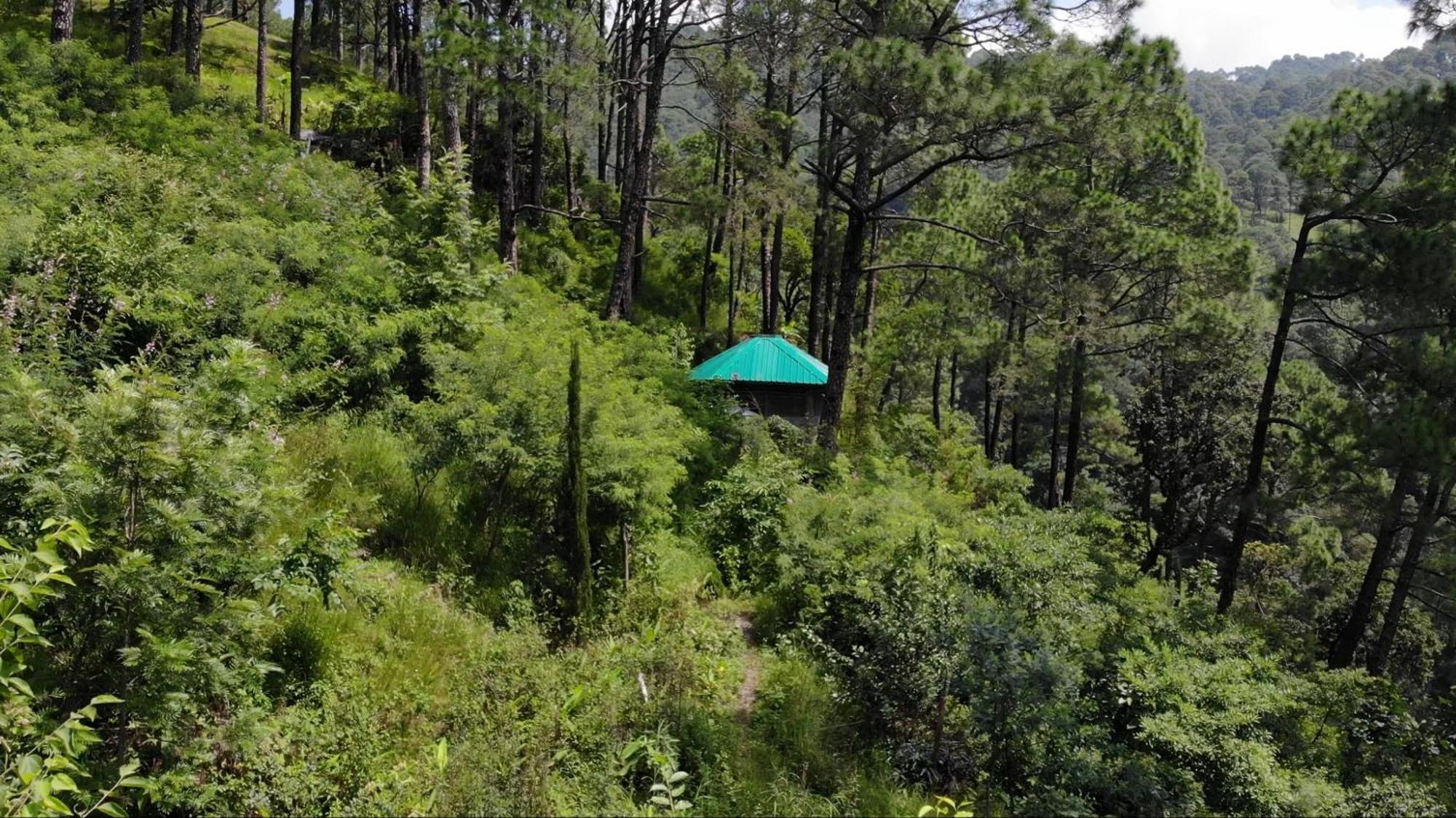 Heal Farm - Himalayan Eco Alternative Lifestyle For Agriculture Recreation And Meditation Нейнитал Екстериор снимка